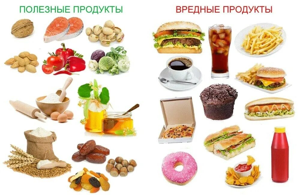 Полезные и вредные. Вредная и полезная пища. Вредные продукты. Полезные и вредные продукты питания. Вредные продукты жизнедеятельности