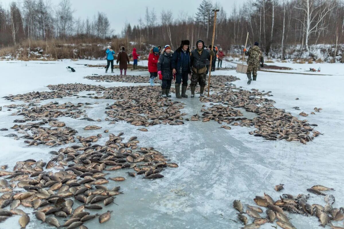 Якутская рыбалка мунха. Мунха тэриллэрэ. Карась мунха. Мунха оголор.