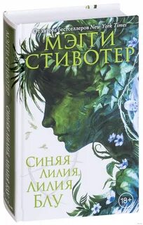 Похититель снов стивотер