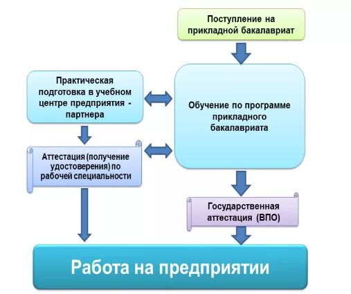 Система прикладного бакалавриата