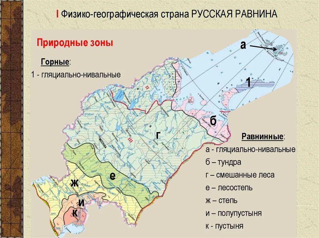 Геогр районы. Физико-географические районы России. Физико географические районы. Физико-географическое районирование. Физико-географическое районирование России.