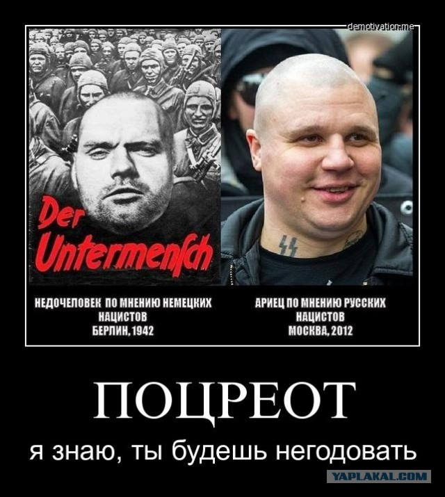 Истинный ариец фото фото видео - Calebin.ru