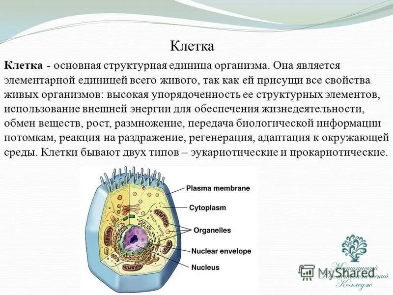 Клетка элементарная единица жизни на земле. Докажите что клетка является биологической системой. Клетки являются единицей живого фенотипического. Доказательство что клетка единица живого. Клетки являются единицей живого фенотипического.