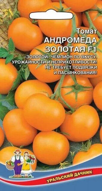 томат Андромеда
