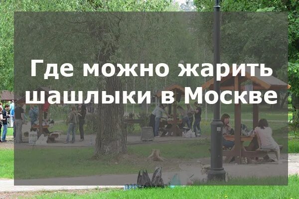 Места для жарки шашлыка в Москве. Где можно жарить шашлыки в Москве. Места где можно жарить шашлык в Москве. Парки где можно жарить шашлыки в Москве.
