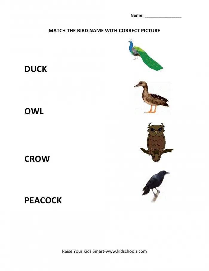 Найди слово птицы 5. Птицы на английском. Birds in English Worksheets. Wild Birds Worksheets. Birds tasks for Kids.