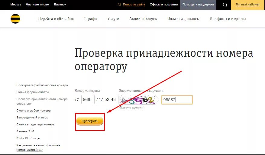 Номер Билайн. Код Билайн. Номер телефона. Код номера Билайн. Пробив номера телефона без регистрации