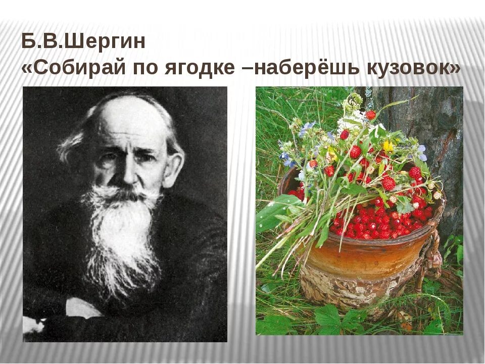 Шергин собирай по ягодке. Шергин собирай по ягодке наберешь кузовок рисунок. В. Шергина «собирай по ягодке — наберёшь кузовок». Тест собирай по ягодке 3