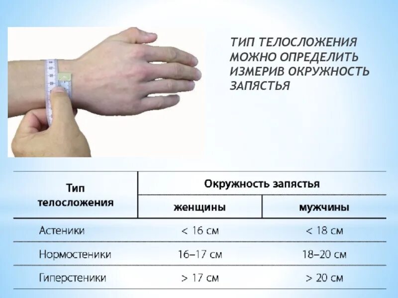 Какая норма измерить. Обхват запястья у мужчин Тип телосложения. Тип телосложения по обхвату запястья у женщин. Как определить Тип тела по запястью. Определение типа телосложения по запястью.