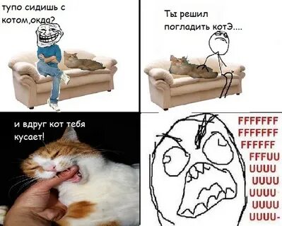 Мем гладить