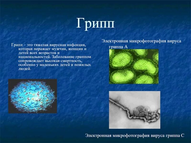 Заболевание грипп б. Вирус гриппа. Типы вируса гриппа. Электронная микрофотография вируса гриппа а. Вирус гриппа типа б.