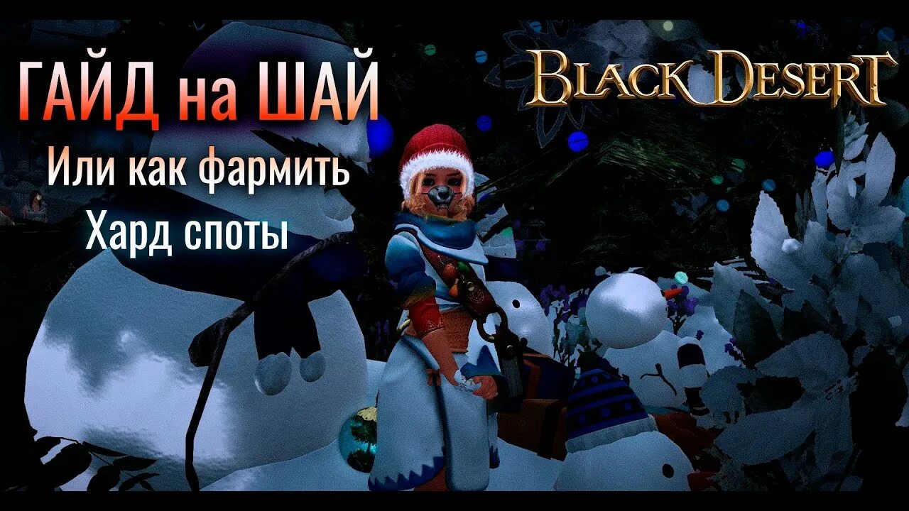 Black desert персонаж шай. Шай блэк десерт арт. Шай блэк десерт. Шая гайд бдо. Шая гайд бдо.