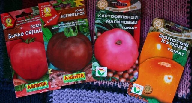 Удивительное рядом: урожай помидоров и картофеля с одного куста