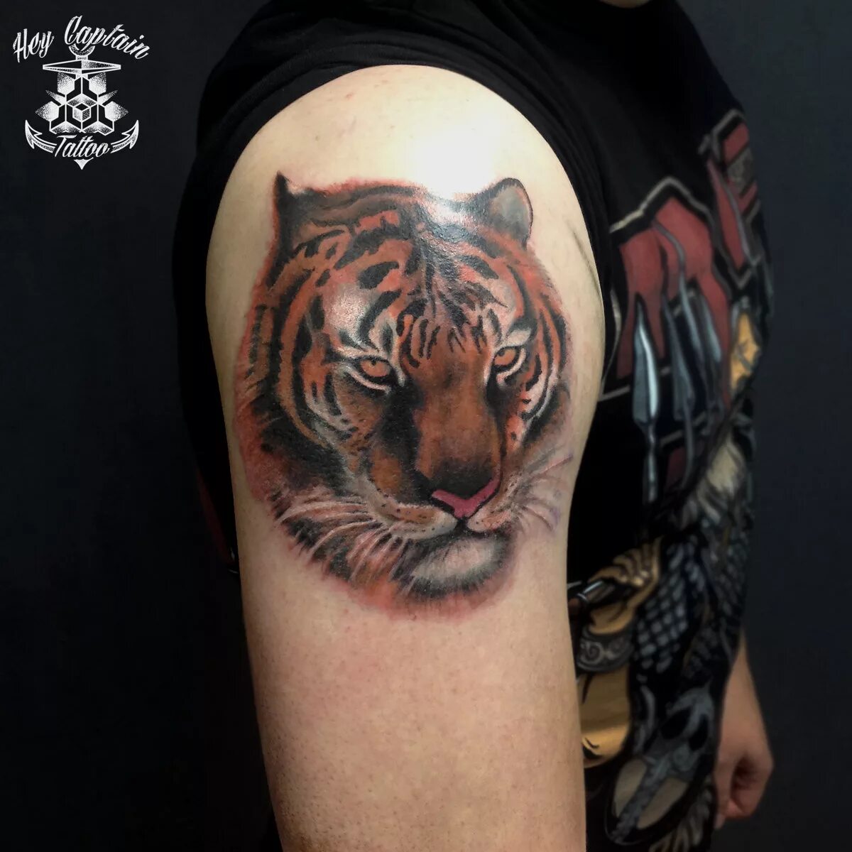 тигр тату мужские. тигр тату мужские. тигр тату мужские. тату тигра. оскал тигра тату.