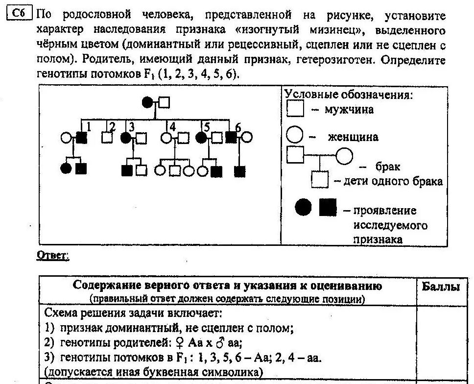 Метод изучения генетики основанный на анализе родословной. Задачи по родословной генетика. Задания генетика генеалогический метод. Задачи на генеалогический метод. Методы изучения генетики человека генеалогический метод.