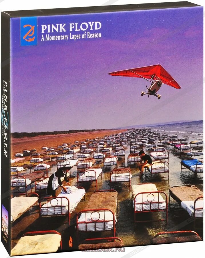 Momentary lapse of reasoning. Пинк Флойд Momentary lapse of reason. Pink Floyd a Momentary lapse of reason 2021. 1987 - A Momentary lapse of reason. Пинк Флойд a Momentary lapse Remixed.