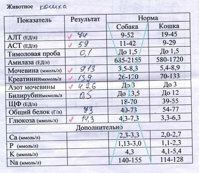 Креатинин зачем сдавать. Биохимический анализ крови показатели нормы. Норма анализа крови у женщины биохимия. Показатели алт АСТ нормы для детей. АСТ В биохимическом анализе крови у детей норма.