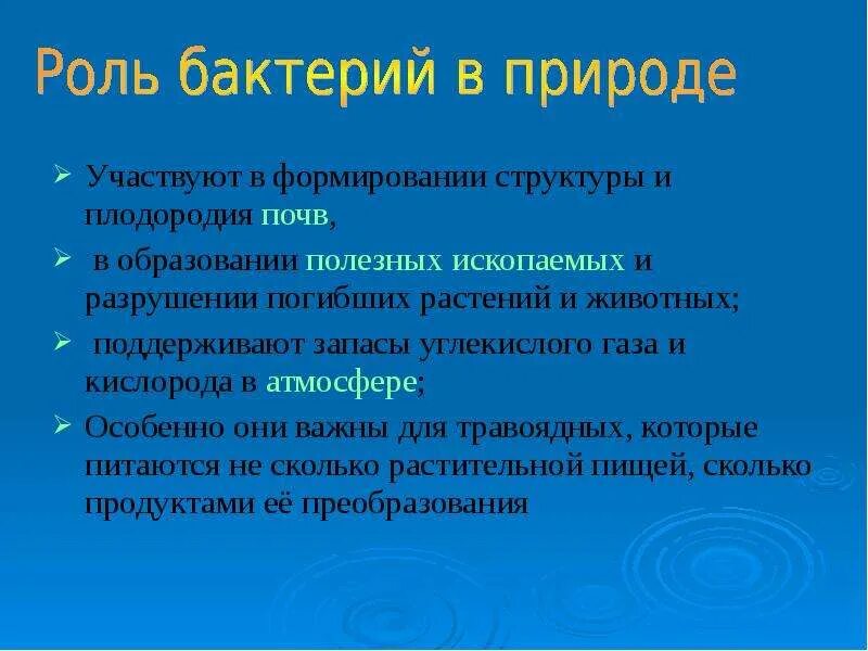 Почему без деятельности бактерий. Бактерии участвуют. Возможна ли жизнь на земле без бактерий. Почему жизнь без бактерий невозможна.