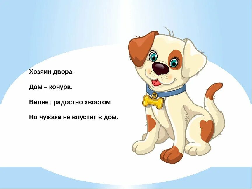 Загадка про собаку для детей 3-4. Загадка про собаку. Загадка про щенка. Загадка про собаку. Загадка про собаку для детей.