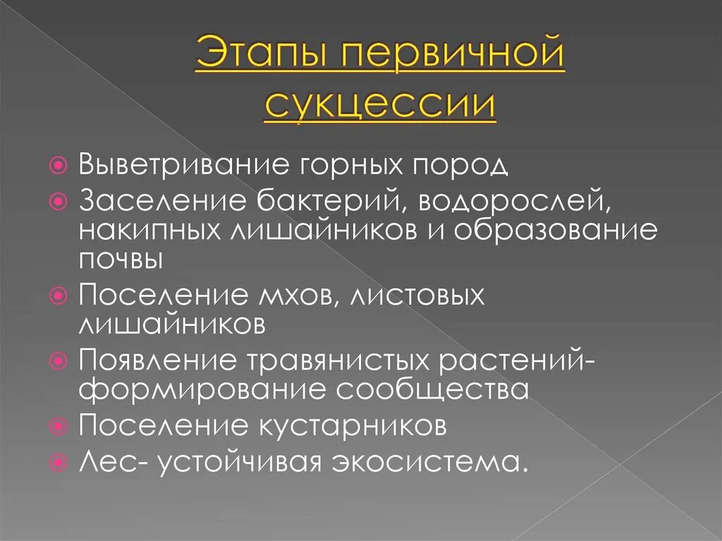 Последовательность этапов сукцессии. Этапы сукцессии. Стадии первичной сукцессии. Этапы образования вторичной сукцессии. Начальные стадии первичной сукцессии.