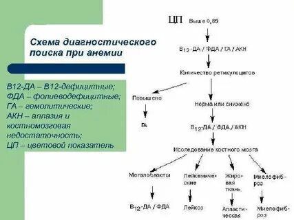 Анемия схема