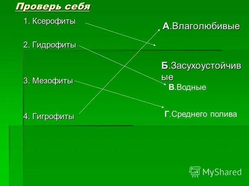 Экологическая группа ксерофиты. Гидрофиты гигрофиты мезофиты. Гидрофиты мезофиты ксерофиты. Гидатофиты гидрофиты гигрофиты мезофиты ксерофиты. Гидрофиты мезофиты ксерофиты микробиология.