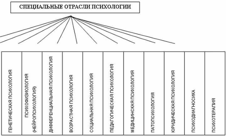 Основные отрасли психологии кратко. Структура современной психологии схема. Схема основных отраслей психологической науки. Структура отрасли психологии таблица. Схема структуры психологической науки.