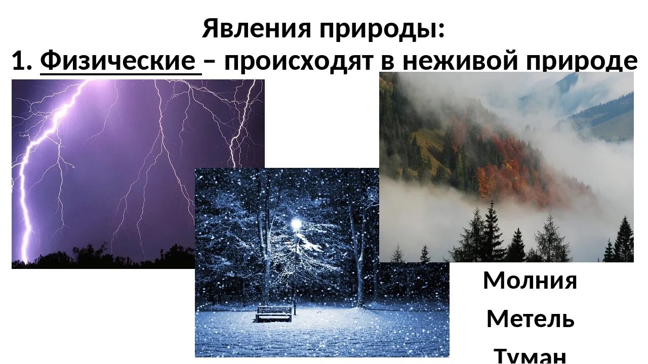 Почему кремний основной элемент неживой природы. Физические явления в неживой природе. Явления живой природы. Природные явления неживой природы. Явление не жывой природы.