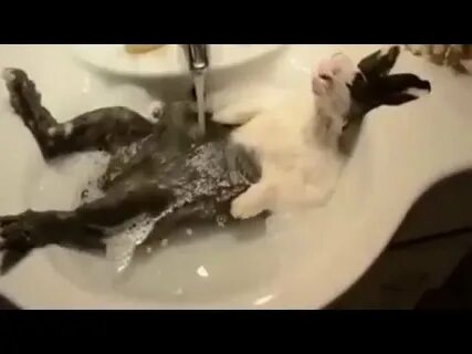 Ютуб видео жесткие