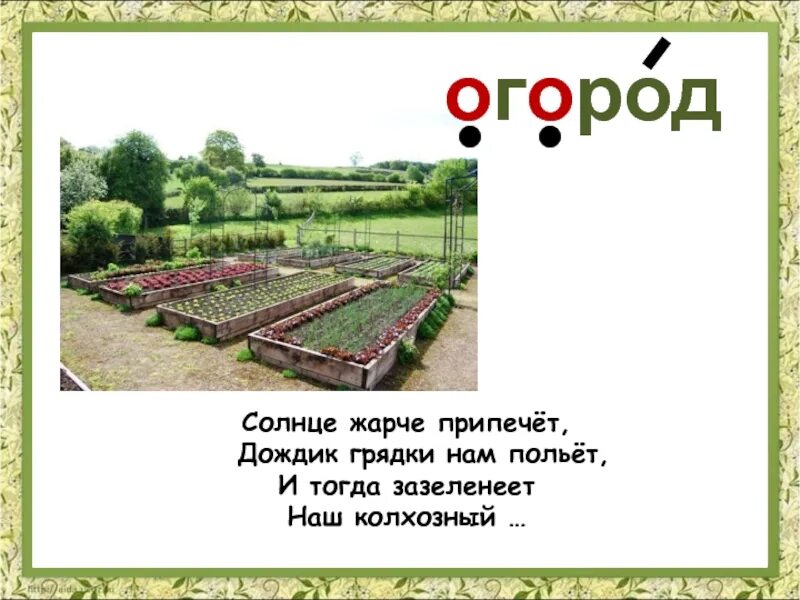 Словарные слова по теме огород. Слова на тему огород. Словарные слова на тему огород 3 класс. Слова на тему огород. Огород для презентации.