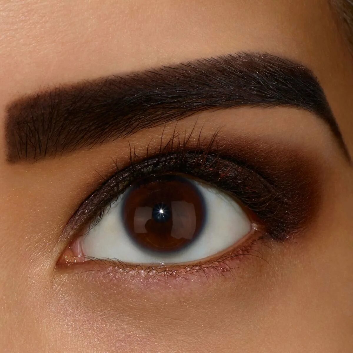 татуаж бровей на черные брови. татуаж бровей черный. татуаж бровей. перманентный макияж темных бровей. перманентный макияж темных бровей.