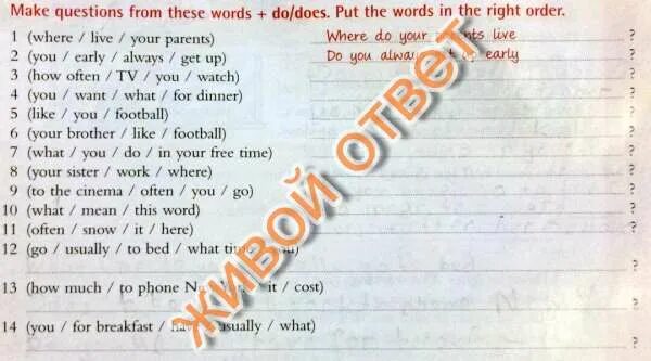 Ответить на вопрос you like doing. Make questions from these words do/does. what do you want for dinner. how often do you watch tv. where your sister work.