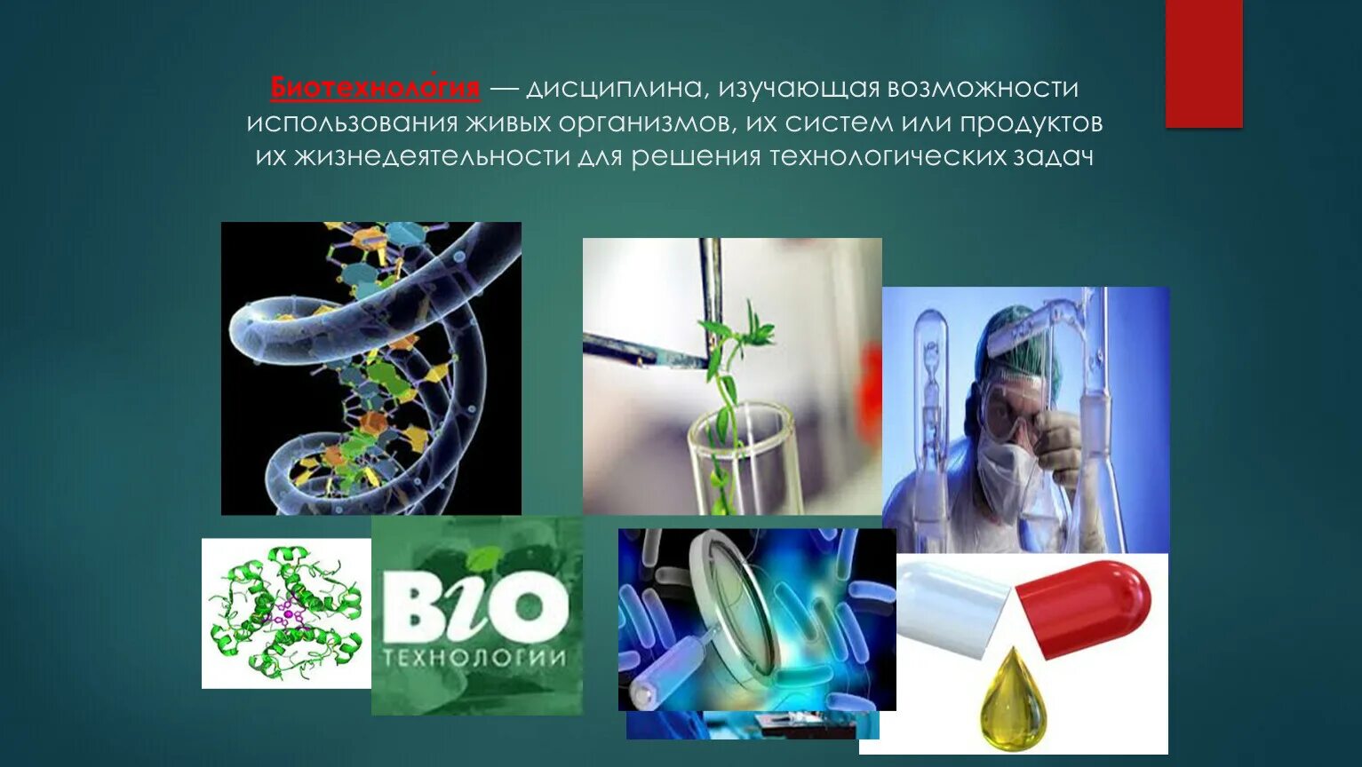 6 биотехнология. Биотехнология это дисциплина. Биотехнология дисциплина изучающая возможности. Биотехнология микробиология. Живые организмы в биотехнологии.