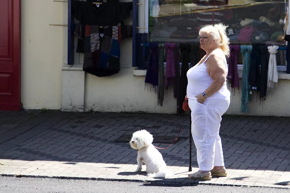 Толстая баба с собакой. Дама с собачкой на прогулке. Женщина с собачкой. Дама гуляет с собачкой. Дама с маленькой собачкой.