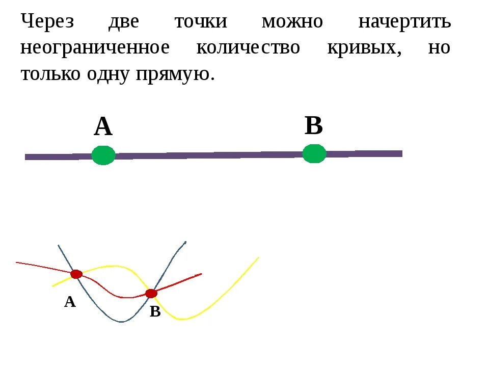 Сколько прямых можно построить через две точки