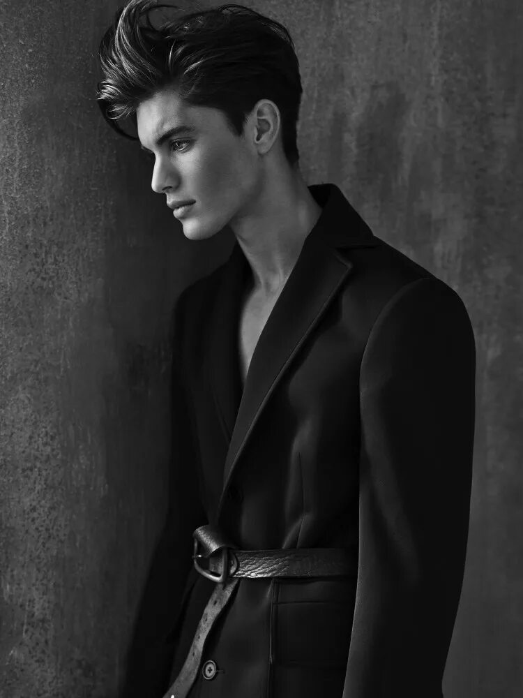 Prince model