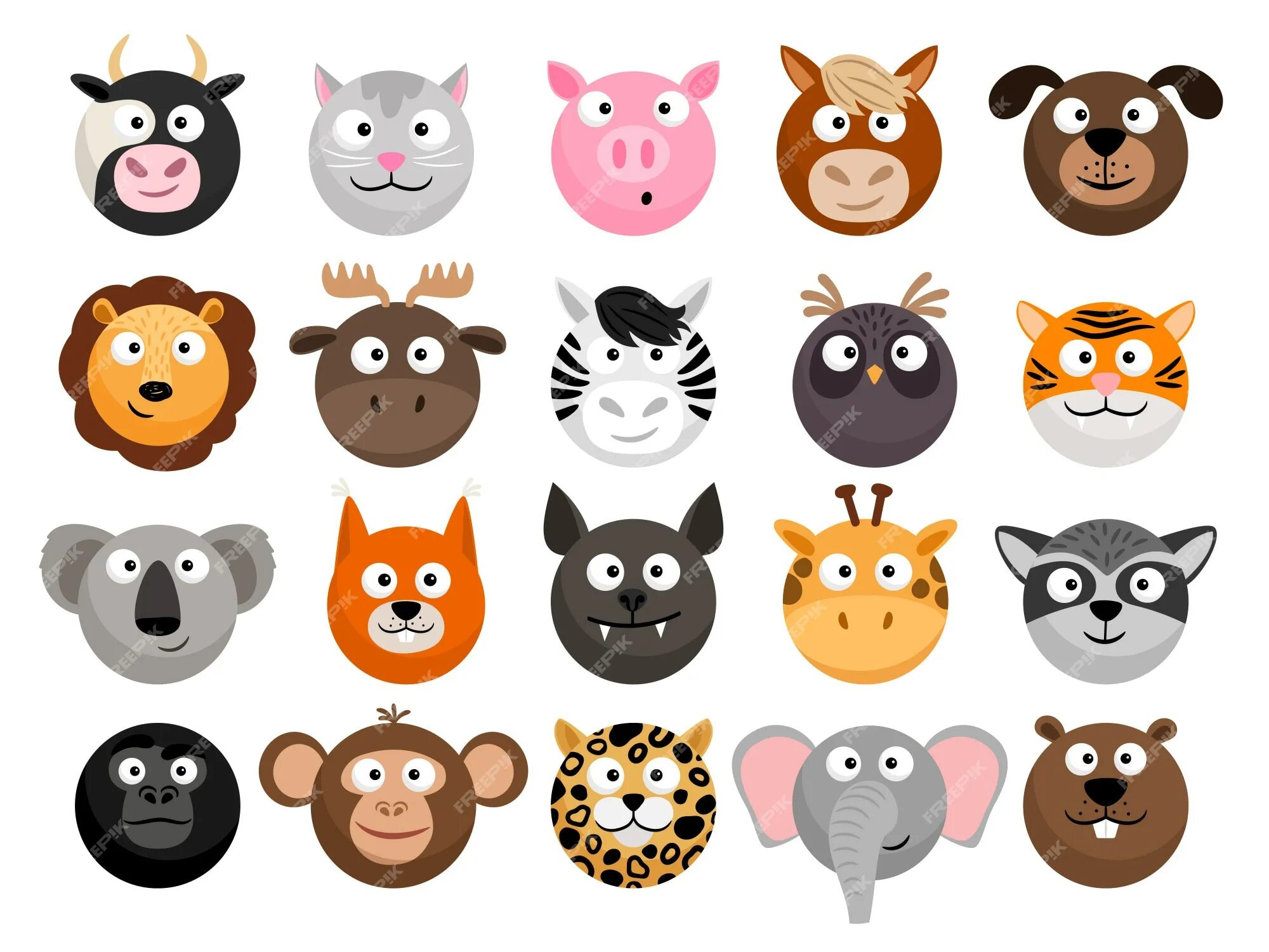 Animals emotions