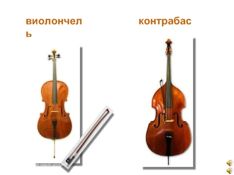 Чем отличается контрабас от виолончели. Альт виолончель контрабас разница. скрипка альт виолончель контрабас отличия. скрипка альт виолончель контрабас. виолончель и контрабас отличия.