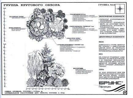 Группы деревьев схема