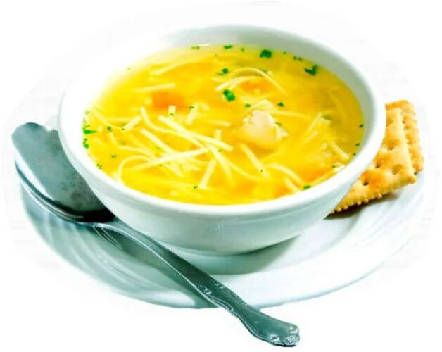 Homemade Turkey Stock and Turkey Noodle Soup Chicken noodle soup recipe homemade