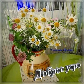 Утро тоже