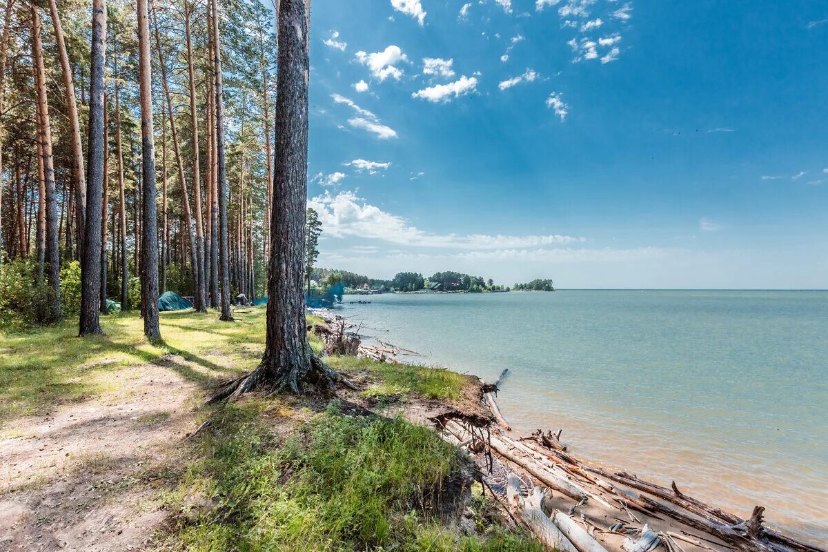 Туры 2023 новосибирск. Обское водохранилище Бердск. Обское море Новосибирск. Бердский залив Обское море. Обское водохранилище пляж звезда.