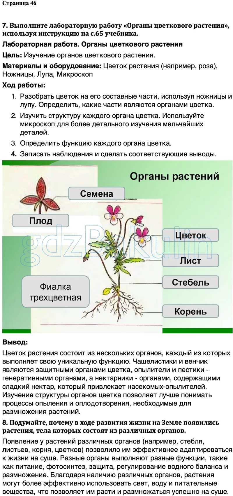 Сивоглазов биология 5 рабочая тетрадь. Сивоглазов биология 5 рабочая тетрадь
