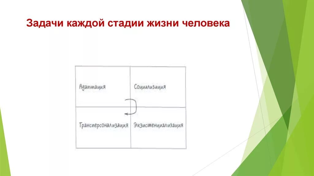 Жизненные этапы и задачи. Этапы жизни человека. Стадии жизни. Фазы жизни человека. Стадии жизни человека.