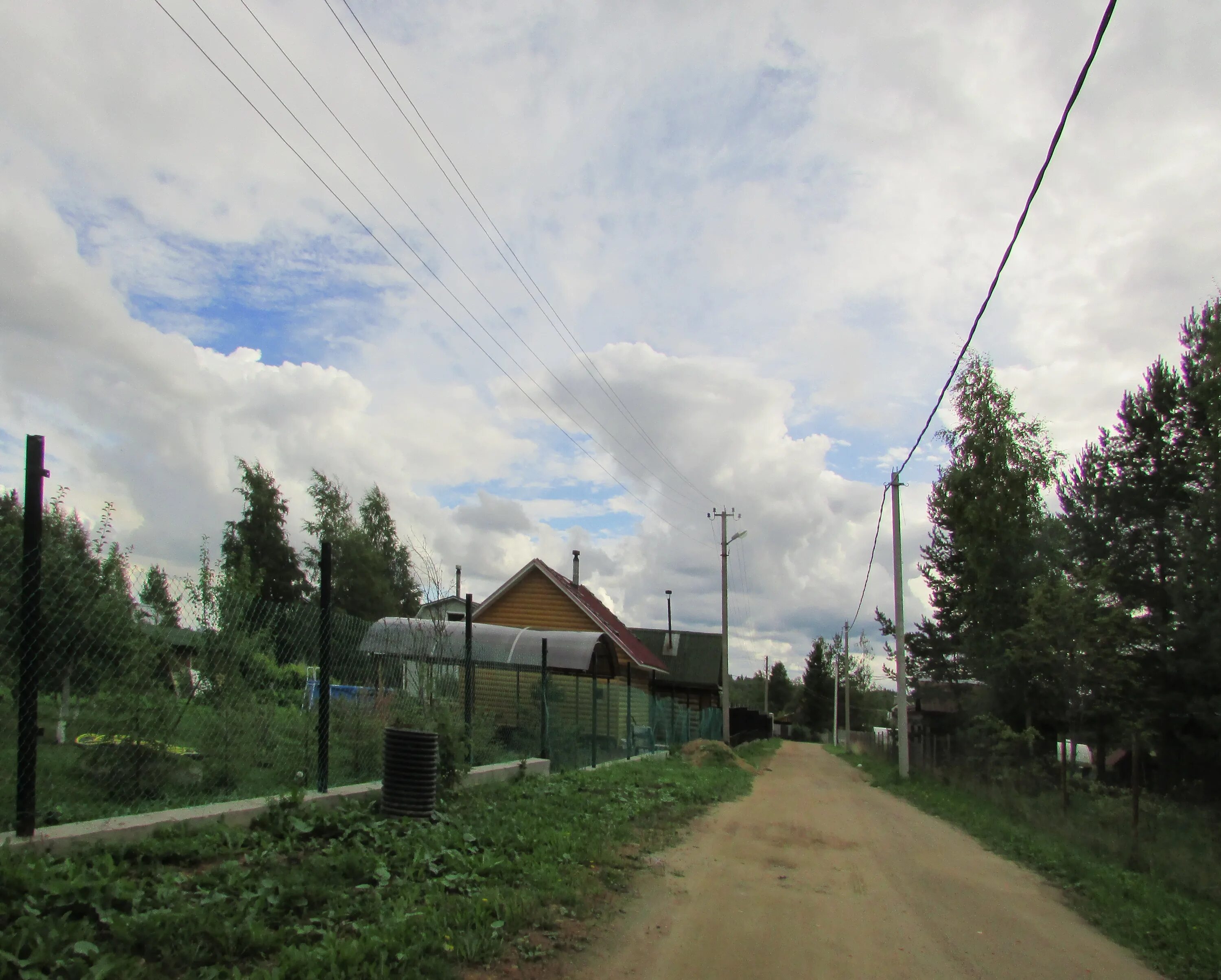 Погода в ковашах ленинградская область
