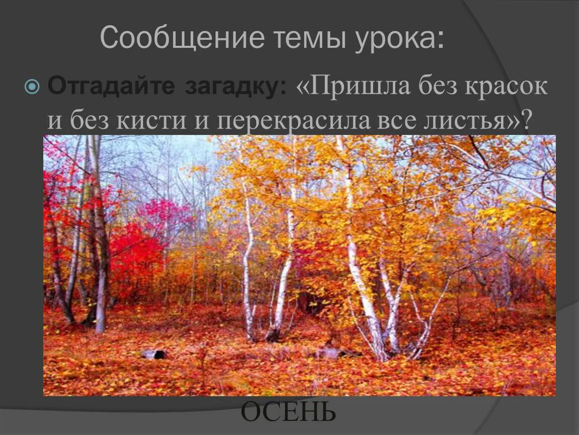 Пришла без красок и без листьев. М пришвин осеннее утро 2 класс. Осеннее утро пришвин 2 класс. Пришла без красок и без кисти. Пришла без красок и без кисти и перекрасила все листья.