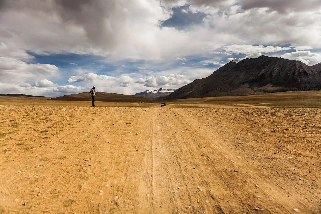 Desert is a large area with very little water and few plants. Flat land which has very few trees. Flat land which has very few trees. Flat land which has very few trees. Равнина бякко.
