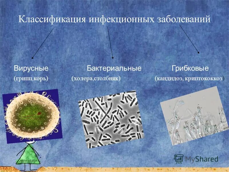 Природа возбудителей инфекций. Инфекции врисные бактерии и. Вирусы – возбудители инфекционных заболеваний человека.. Классификация бактериальных инфекций. Вирусные и грибковые инфекции.