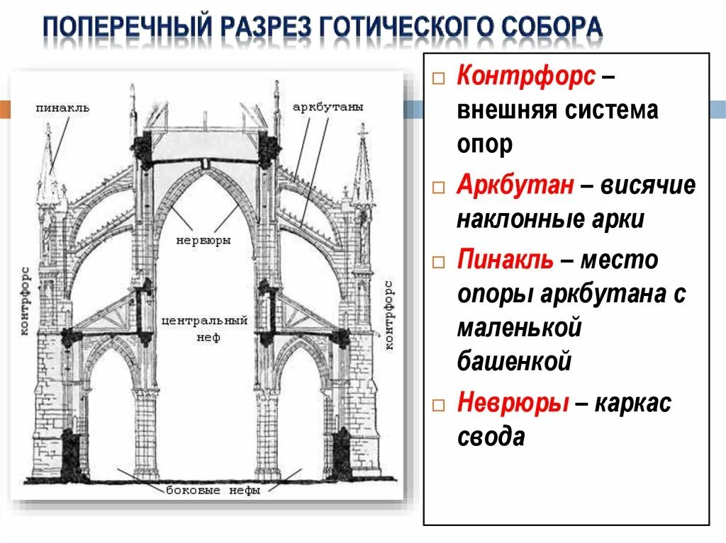 Поперечный разрез готического собора. Система контрфорсов и аркбутанов. Стрельчатая арка готического собора. Объем свода