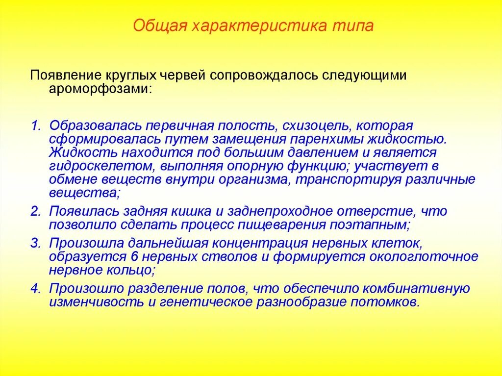 Особенности типа круглые черви. Круглые черви общая характеристика. Общая характеристика круглых червей. Тип круглые черви общая характеристика. Общая яхарактеристикакруглых червей.